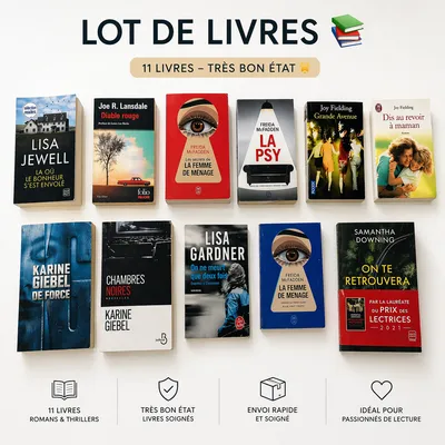 LOT 11 LIVRES THRILLERS & ROMANS – Très bon état auteur freida mcfadden , Lisa jewell , Karine giebel etc 